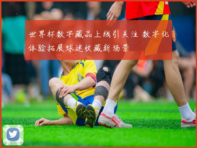 世界杯数字藏品上线引关注 数字化体验拓展球迷收藏新场景