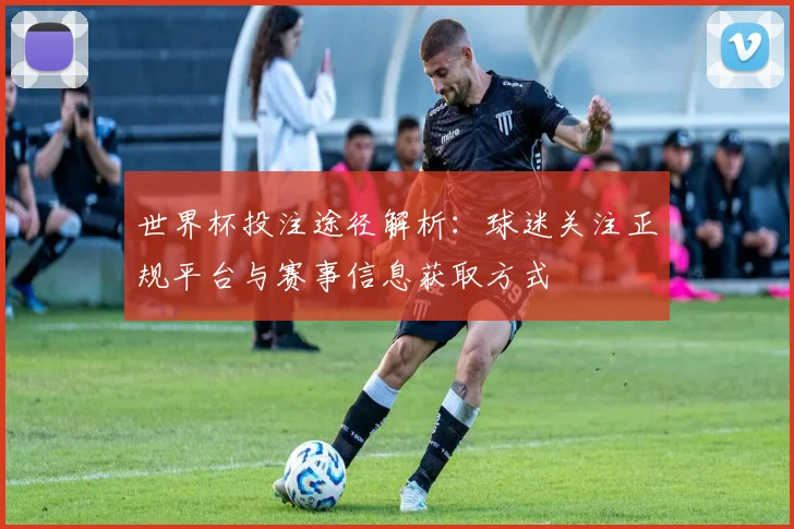 世界杯投注途径解析：球迷关注正规平台与赛事信息获取方式