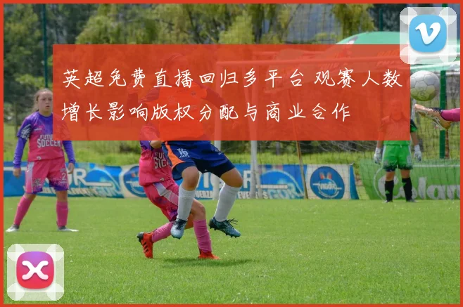 英超免费直播回归多平台 观赛人数增长影响版权分配与商业合作