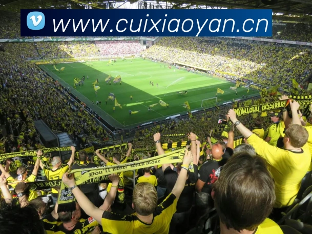 emc易倍官网入口服务体系